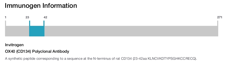OX40 (CD134) Polyclonal Antibody