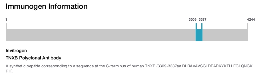 TNXB Polyclonal Antibody