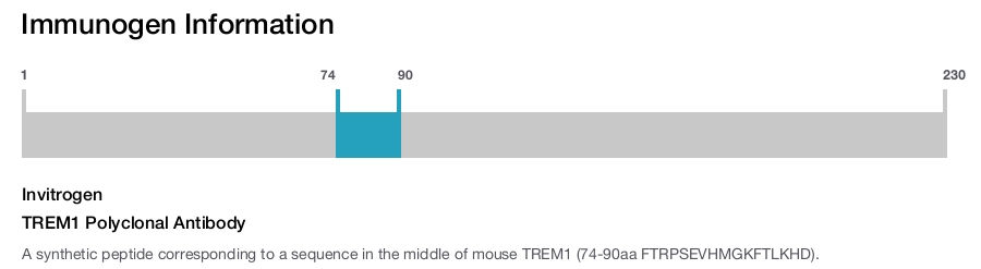 TREM1 Polyclonal Antibody