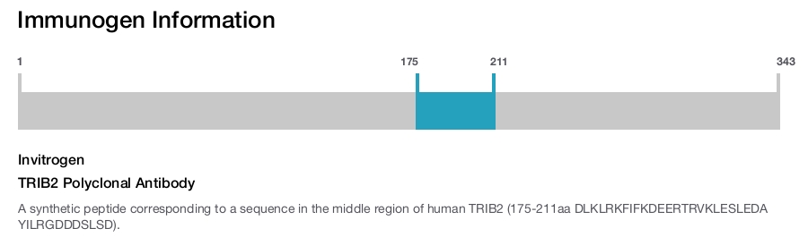 TRIB2 Polyclonal Antibody