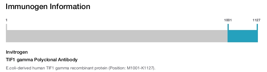 TIF1 gamma Polyclonal Antibody