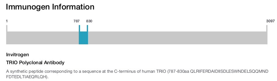 TRIO Polyclonal Antibody