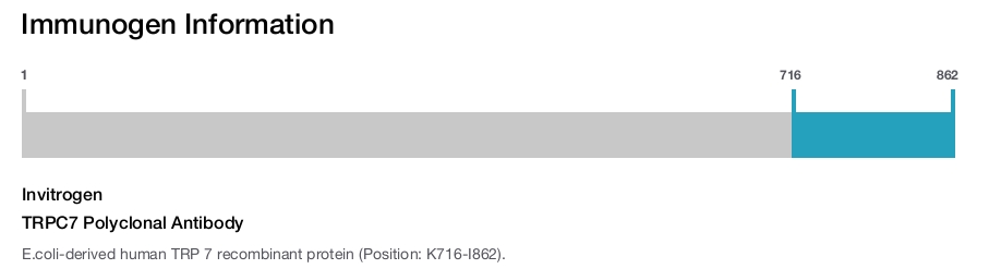 TRPC7 Polyclonal Antibody