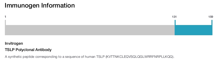 TSLP Polyclonal Antibody
