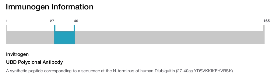 UBD Polyclonal Antibody