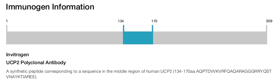 UCP2 Polyclonal Antibody