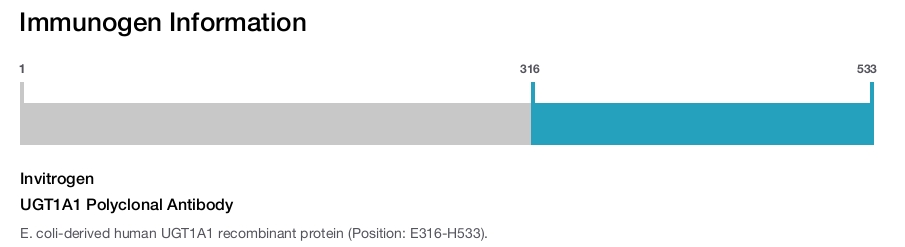 UGT1A1 Polyclonal Antibody