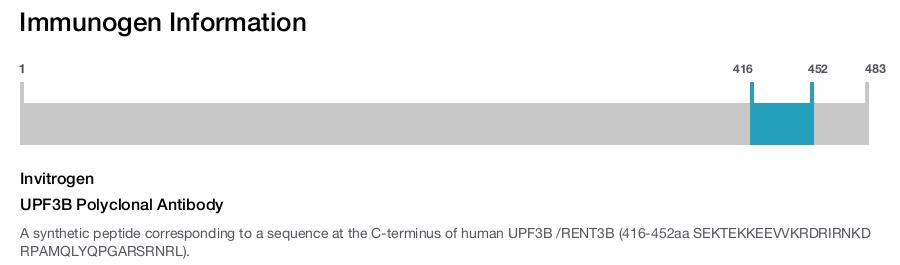 UPF3B Polyclonal Antibody