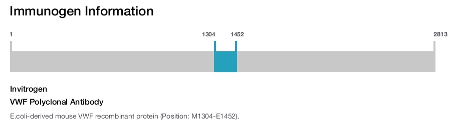 VWF Polyclonal Antibody