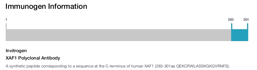 XAF1 Polyclonal Antibody