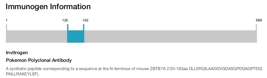 Pokemon Polyclonal Antibody
