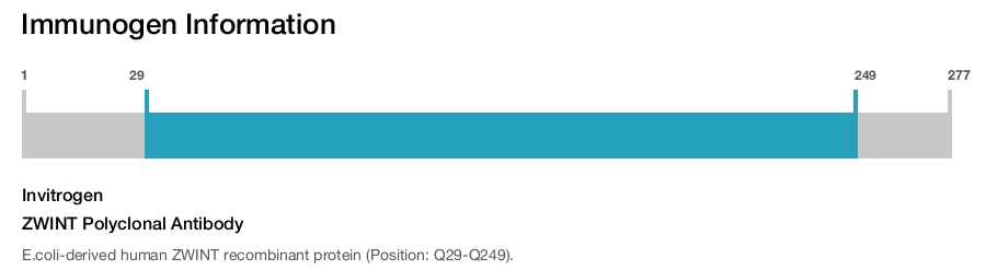 ZWINT Polyclonal Antibody