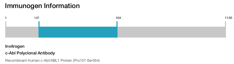 c-Abl Polyclonal Antibody