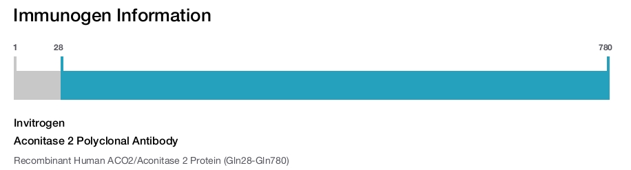 Aconitase 2 Polyclonal Antibody