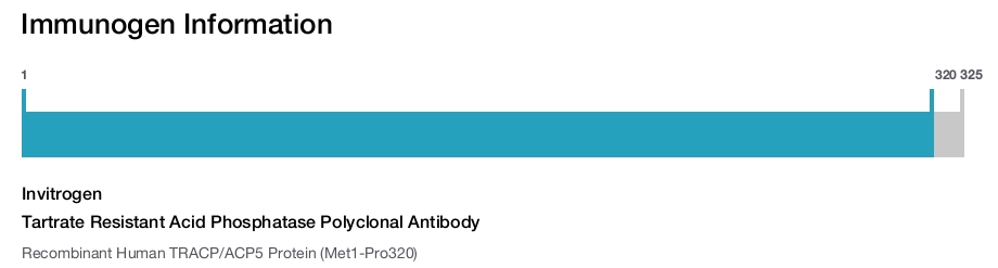 Tartrate Resistant Acid Phosphatase Polyclonal Antibody