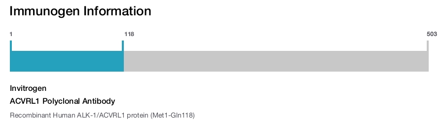 ACVRL1 Polyclonal Antibody