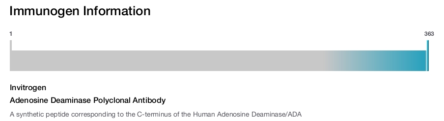 Adenosine Deaminase Polyclonal Antibody