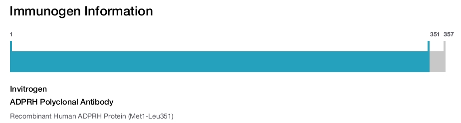 ADPRH Polyclonal Antibody