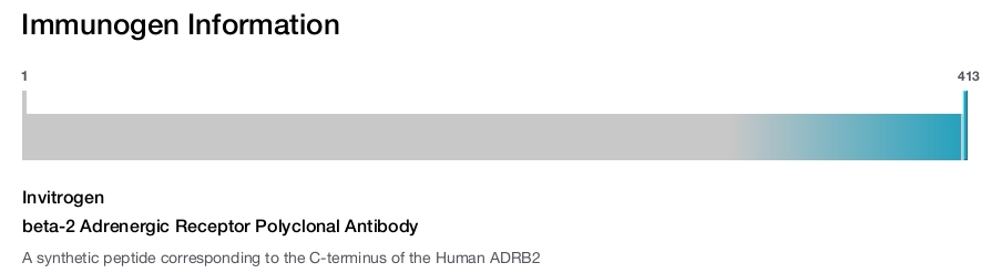 beta-2 Adrenergic Receptor Polyclonal Antibody