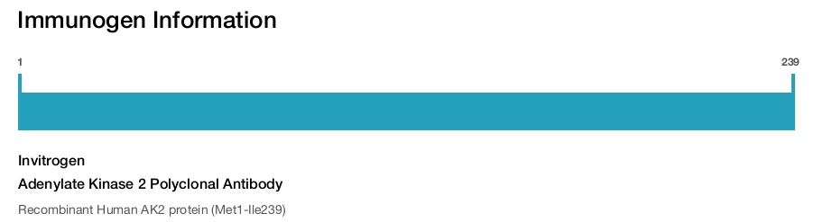 Adenylate Kinase 2 Polyclonal Antibody