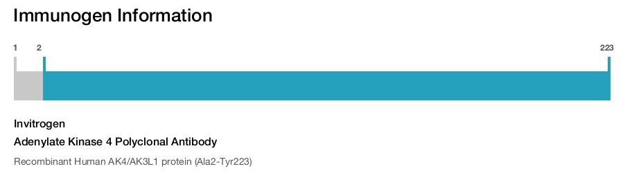 Adenylate Kinase 4 Polyclonal Antibody