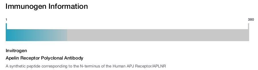 Apelin Receptor Polyclonal Antibody