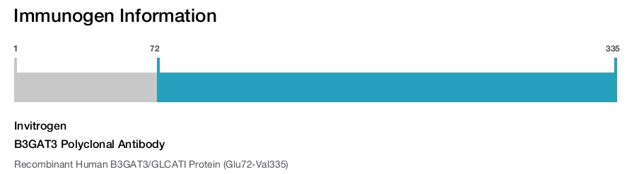 B3GAT3 Polyclonal Antibody