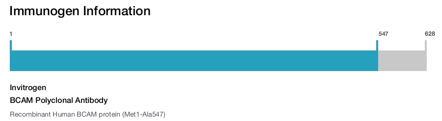 BCAM Polyclonal Antibody