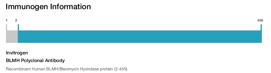 BLMH Polyclonal Antibody