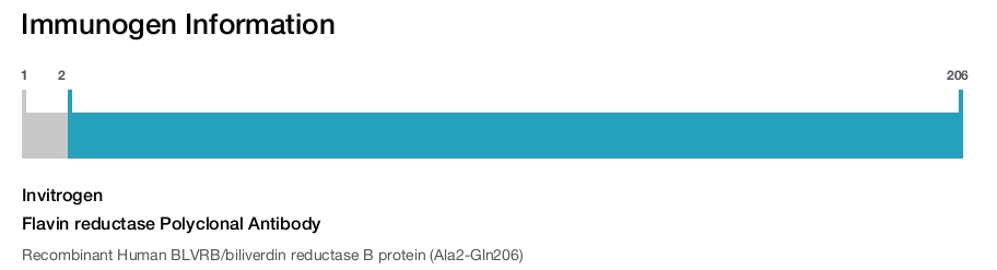 Flavin reductase Polyclonal Antibody