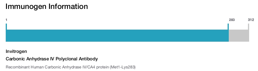 Carbonic Anhydrase IV Polyclonal Antibody