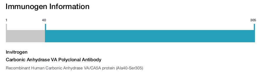 Carbonic Anhydrase VA Polyclonal Antibody