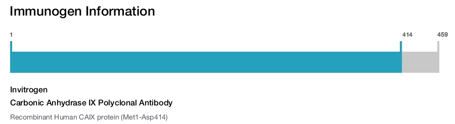 Carbonic Anhydrase IX Polyclonal Antibody