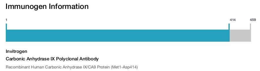 Carbonic Anhydrase IX Polyclonal Antibody