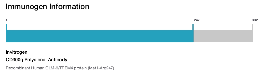 CD300g Polyclonal Antibody