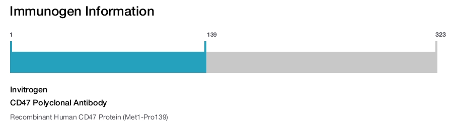 CD47 Polyclonal Antibody