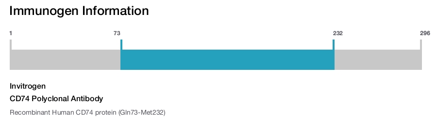 CD74 Polyclonal Antibody