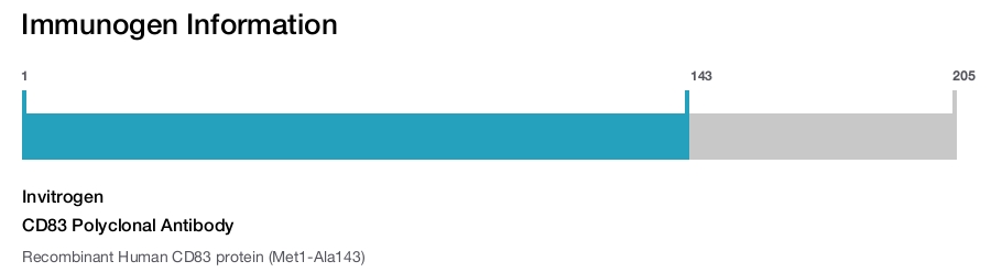 CD83 Polyclonal Antibody