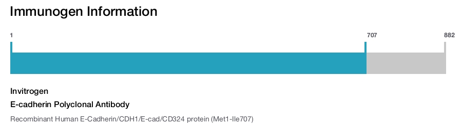 E-cadherin Polyclonal Antibody