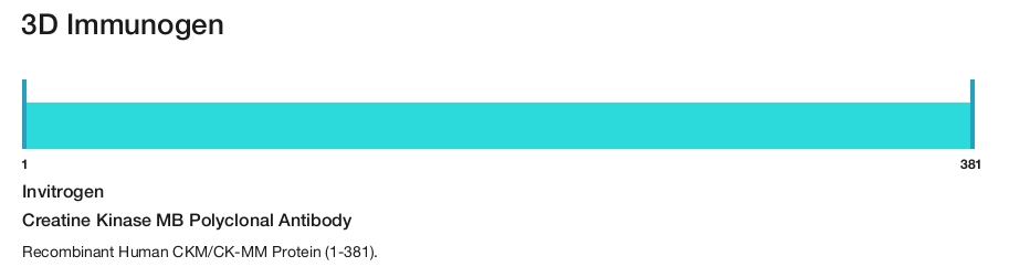 Creatine Kinase MB Polyclonal Antibody