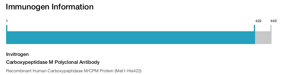 Carboxypeptidase M Polyclonal Antibody