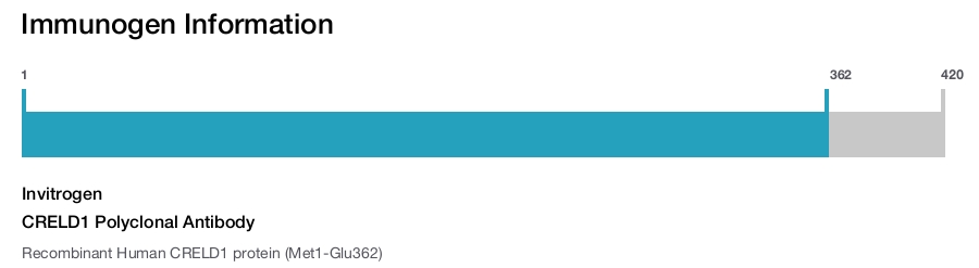 CRELD1 Polyclonal Antibody