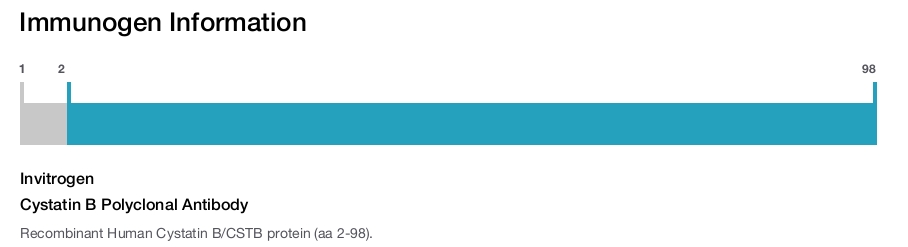 Cystatin B Polyclonal Antibody