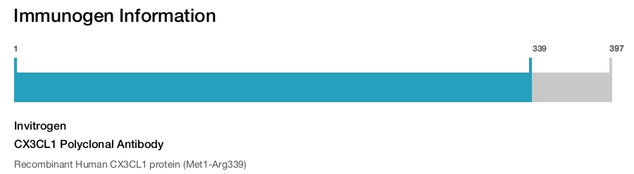 CX3CL1 Polyclonal Antibody