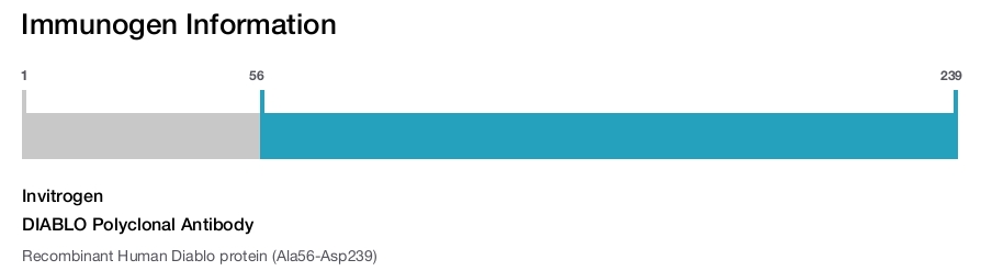 DIABLO Polyclonal Antibody