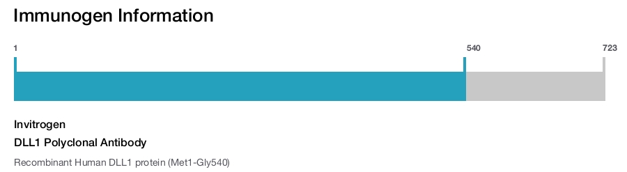 DLL1 Polyclonal Antibody