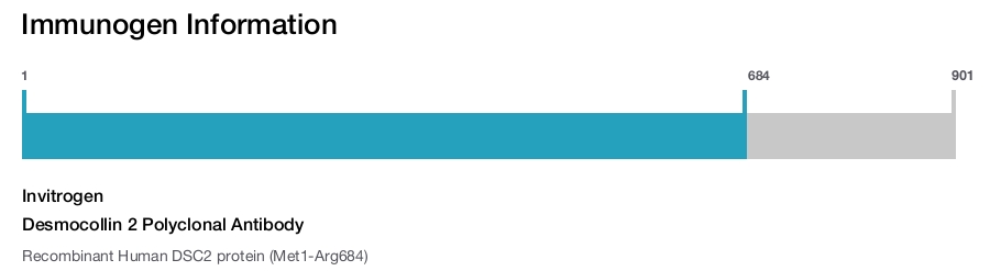 Desmocollin 2 Polyclonal Antibody
