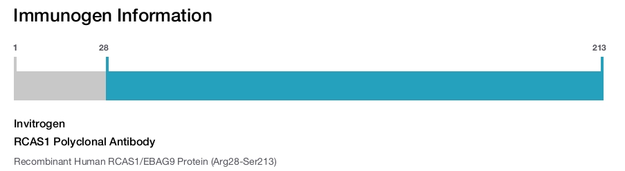 RCAS1 Polyclonal Antibody