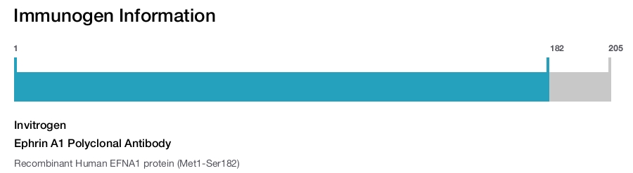 Ephrin A1 Polyclonal Antibody
