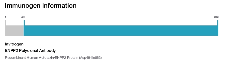 ENPP2 Polyclonal Antibody